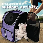 Pet backpack